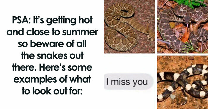 110 Camping And Hiking Memes To Help You Get In Touch With Nature