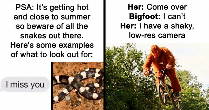 110 Camping And Hiking Memes To Help You Get In Touch With Nature