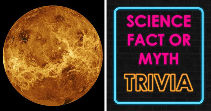 “What’s Science And What’s Myth?”: Take This 20-Question Quiz And Prove You Know The Truth
