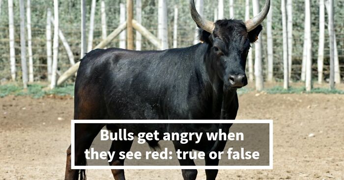 “What’s Science And What’s Myth?”: Take This 20-Question Quiz And Prove You Know The Truth