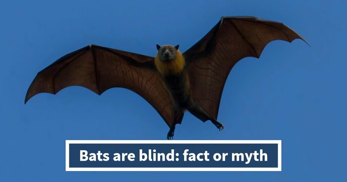 “What’s Science And What’s Myth?”: Take This 20-Question Quiz And Prove You Know The Truth