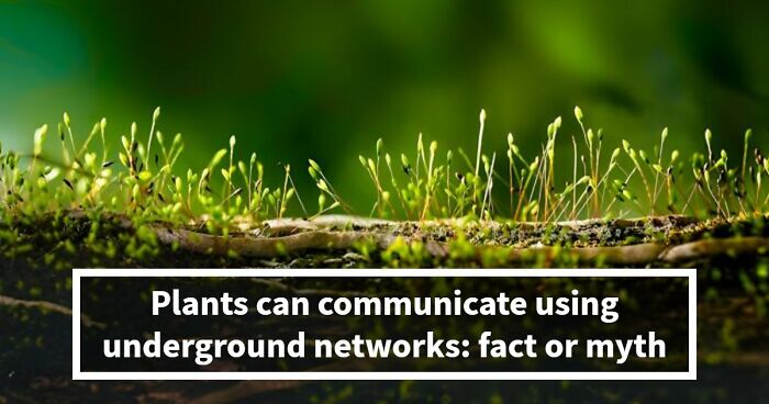 “What’s Science And What’s Myth?”: Take This 20-Question Quiz And Prove You Know The Truth