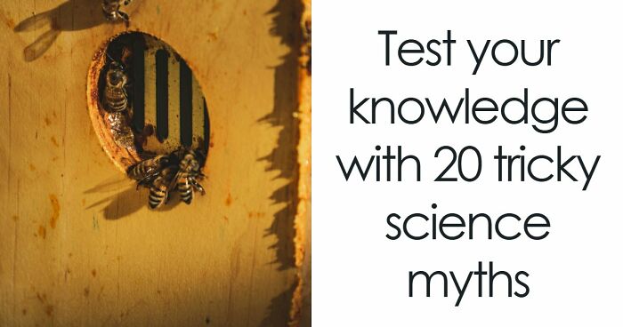“What’s Science And What’s Myth?”: Take This 20-Question Quiz And Prove You Know The Truth