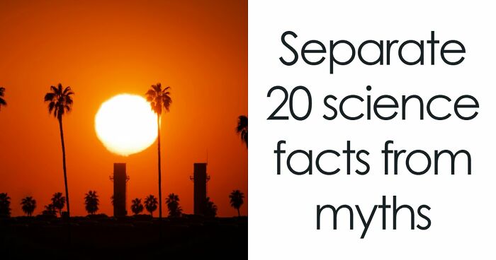 “What’s Science And What’s Myth?”: Take This 20-Question Quiz And Prove You Know The Truth