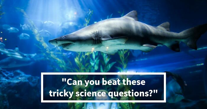 “What’s Science And What’s Myth?”: Take This 20-Question Quiz And Prove You Know The Truth