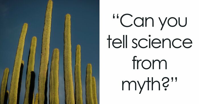 “What’s Science And What’s Myth?”: Take This 20-Question Quiz And Prove You Know The Truth