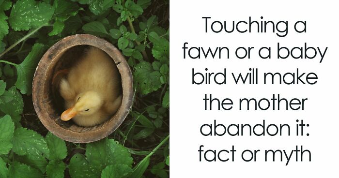 “What’s Science And What’s Myth?”: Take This 20-Question Quiz And Prove You Know The Truth