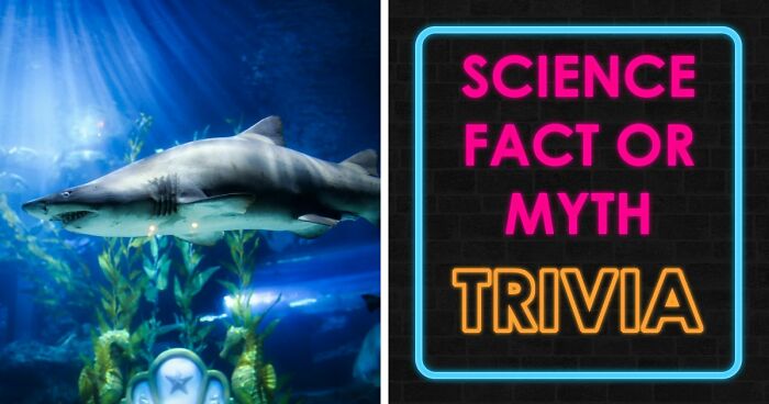 “What’s Science And What’s Myth?”: Take This 20-Question Quiz And Prove You Know The Truth