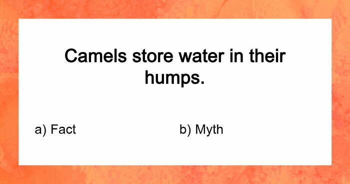 “What’s Science And What’s Myth?”: Take This 20-Question Quiz And Prove You Know The Truth