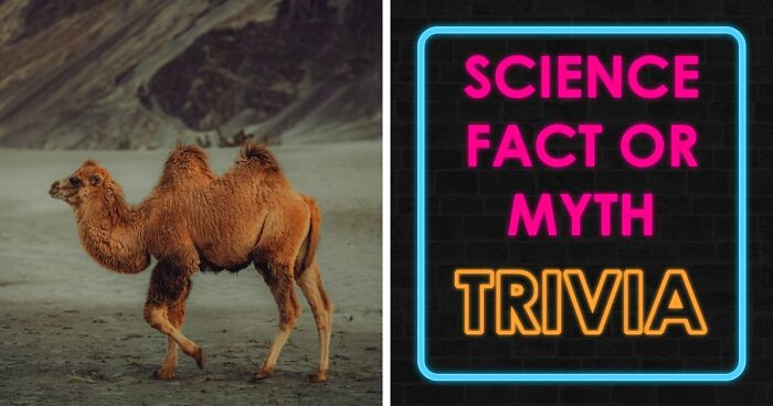 “What’s Science And What’s Myth?”: Take This 20-Question Quiz And Prove You Know The Truth