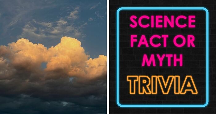 “What’s Science And What’s Myth?”: Take This 20-Question Quiz And Prove You Know The Truth
