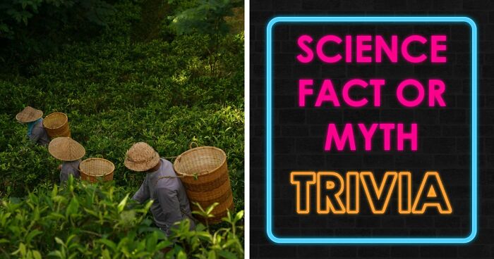 “What’s Science And What’s Myth?”: Take This 20-Question Quiz And Prove You Know The Truth
