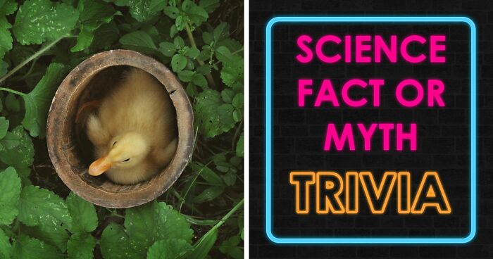 “What’s Science And What’s Myth?”: Take This 20-Question Quiz And Prove You Know The Truth