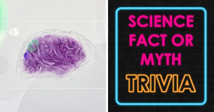 “What’s Science And What’s Myth?”: Take This 20-Question Quiz And Prove You Know The Truth