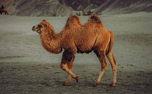 These 20 Science Myths Fool Almost Everyone – A 15/20 Score Puts You Ahead Of Most