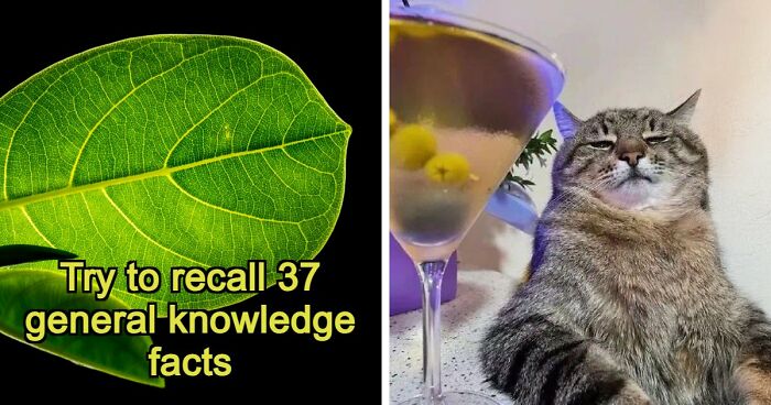 From Harry Potter To Victor Hugo: Test Your General Knowledge With 37 Pub Questions