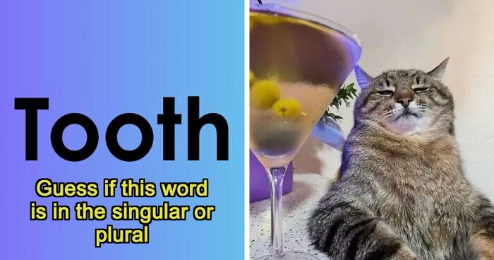 From Harry Potter To Victor Hugo: Test Your General Knowledge With 37 Pub Questions