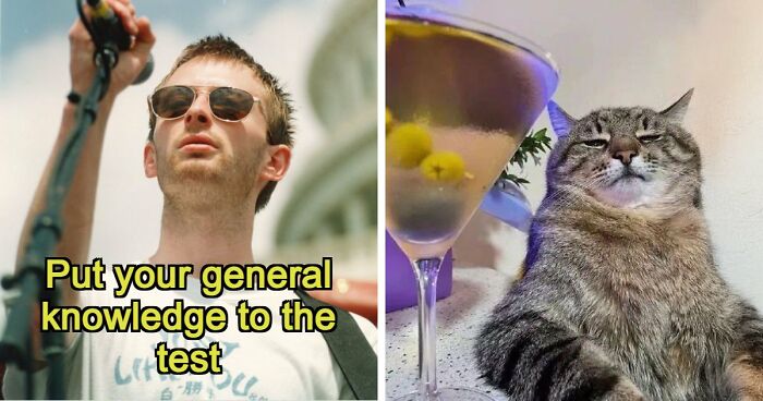 From Harry Potter To Victor Hugo: Test Your General Knowledge With 37 Pub Questions