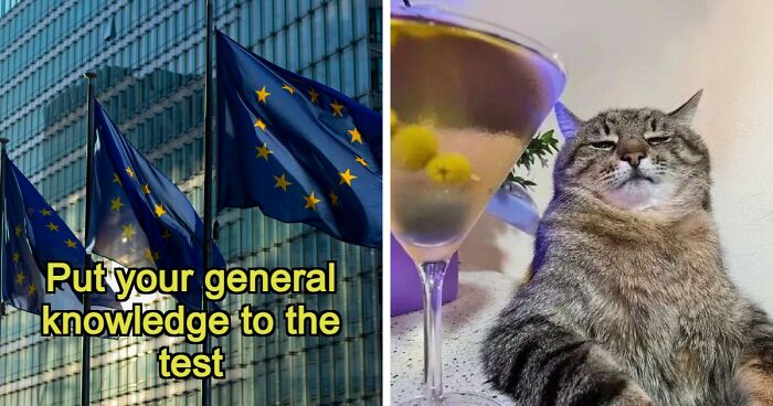 From Harry Potter To Victor Hugo: Test Your General Knowledge With 37 Pub Questions