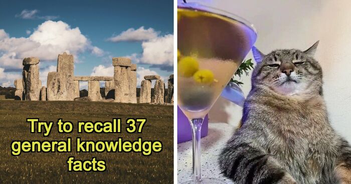 From Harry Potter To Victor Hugo: Test Your General Knowledge With 37 Pub Questions