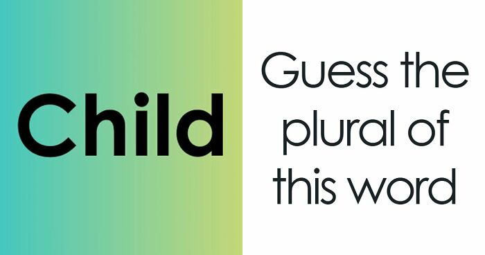 From Harry Potter To Victor Hugo: Test Your General Knowledge With 37 Pub Questions