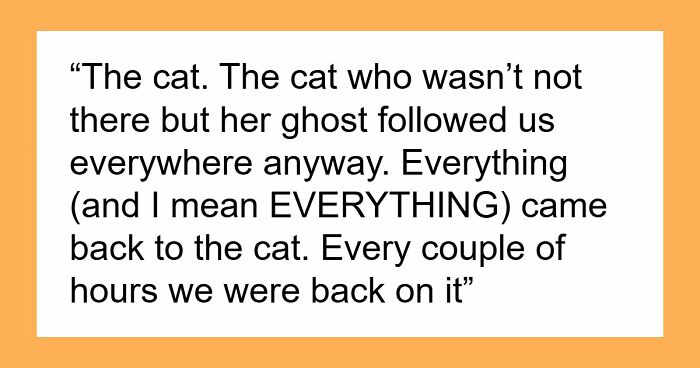 Crazy Cat Lady Wants K-Drama Romance, But Chooses Her Cat Over Men, Then Wonders Why They Leave