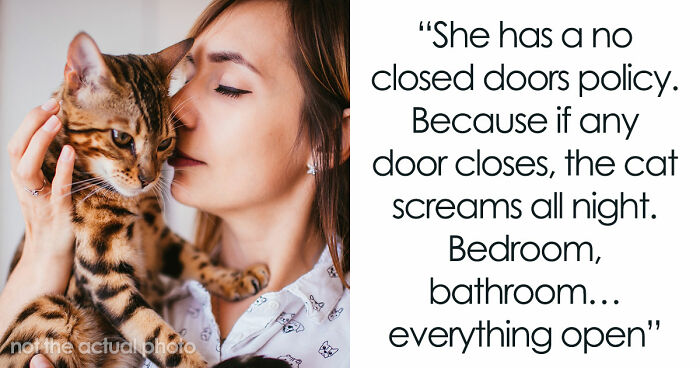 Crazy Cat Lady Wants K-Drama Romance, But Chooses Her Cat Over Men, Then Wonders Why They Leave