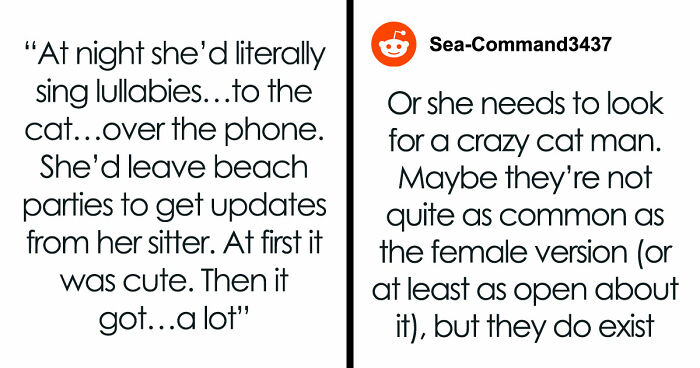 Crazy Cat Lady Wants K-Drama Romance, But Chooses Her Cat Over Men, Then Wonders Why They Leave