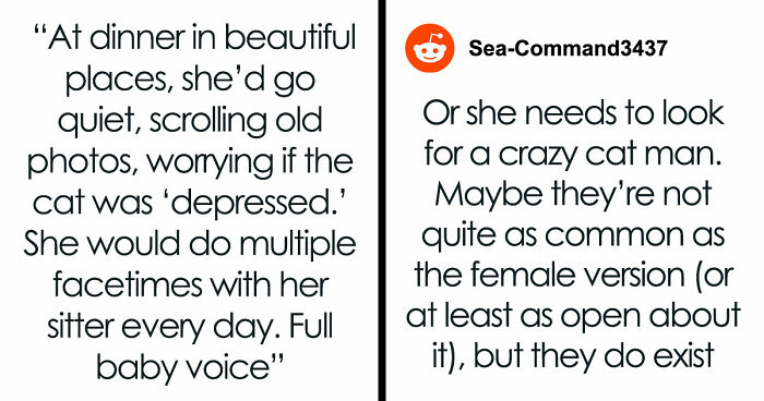 Crazy Cat Lady Wants K-Drama Romance, But Chooses Her Cat Over Men, Then Wonders Why They Leave