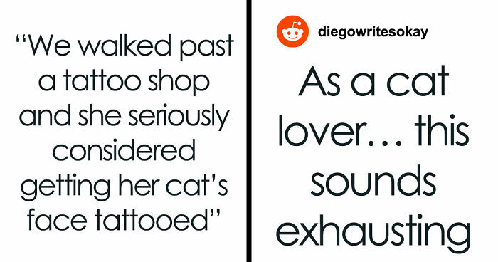 Crazy Cat Lady Wants K-Drama Romance, But Chooses Her Cat Over Men, Then Wonders Why They Leave