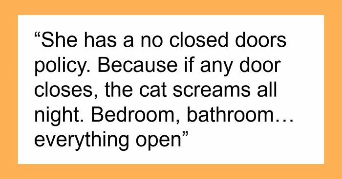 Crazy Cat Lady Wants K-Drama Romance, But Chooses Her Cat Over Men, Then Wonders Why They Leave