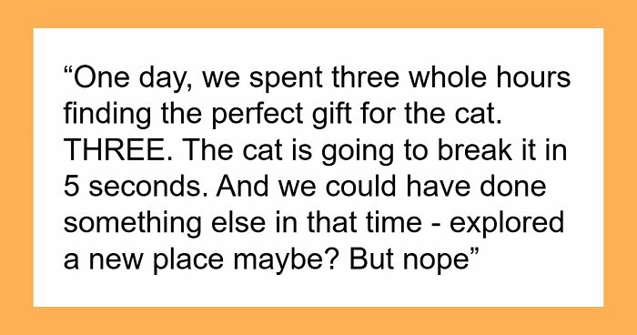 Crazy Cat Lady Wants K-Drama Romance, But Chooses Her Cat Over Men, Then Wonders Why They Leave