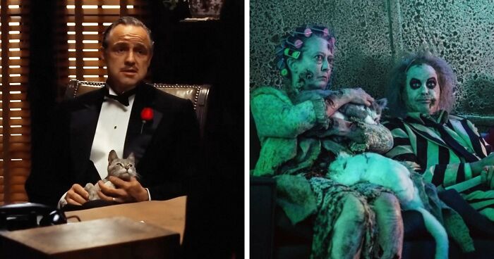 This X Page Tracks Every Cat In Cinema, Here Are 83 You Probably Didn’t Notice