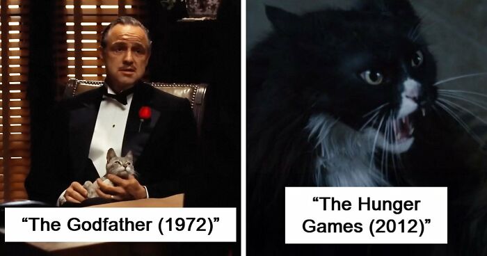 This X Page Tracks Every Cat In Cinema, Here Are 83 You Probably Didn’t Notice