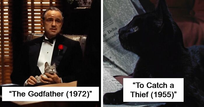 This X Page Tracks Every Cat In Cinema, Here Are 83 You Probably Didn’t Notice