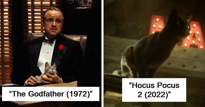 This X Page Tracks Every Cat In Cinema, Here Are 83 You Probably Didn’t Notice