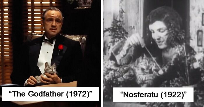 This X Page Tracks Every Cat In Cinema, Here Are 83 You Probably Didn’t Notice