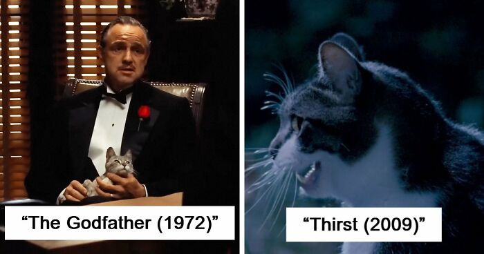 This X Page Tracks Every Cat In Cinema, Here Are 83 You Probably Didn’t Notice