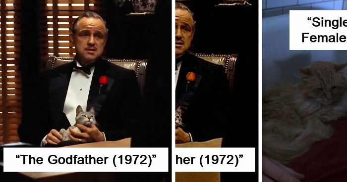 This X Page Tracks Every Cat In Cinema, Here Are 83 You Probably Didn’t Notice