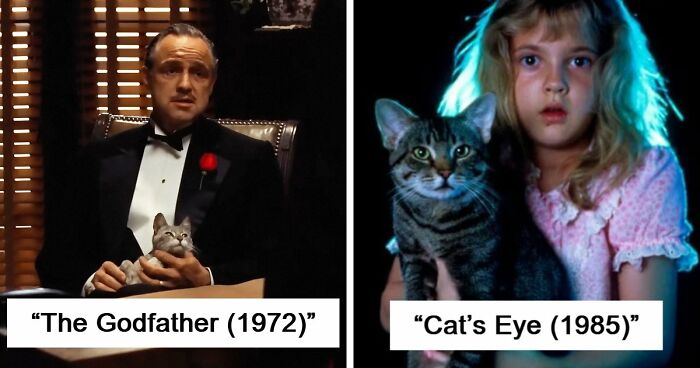 This X Page Tracks Every Cat In Cinema, Here Are 83 You Probably Didn’t Notice