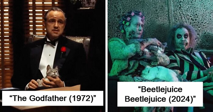 This X Page Tracks Every Cat In Cinema, Here Are 83 You Probably Didn’t Notice