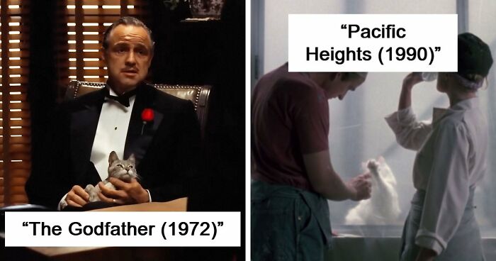 This X Page Tracks Every Cat In Cinema, Here Are 83 You Probably Didn’t Notice