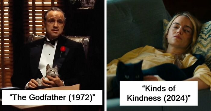 This X Page Tracks Every Cat In Cinema, Here Are 83 You Probably Didn’t Notice