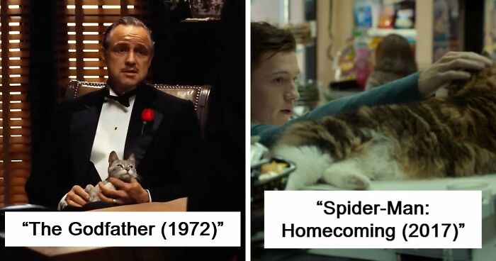 This X Page Tracks Every Cat In Cinema, Here Are 83 You Probably Didn’t Notice