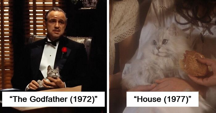 This X Page Tracks Every Cat In Cinema, Here Are 83 You Probably Didn’t Notice
