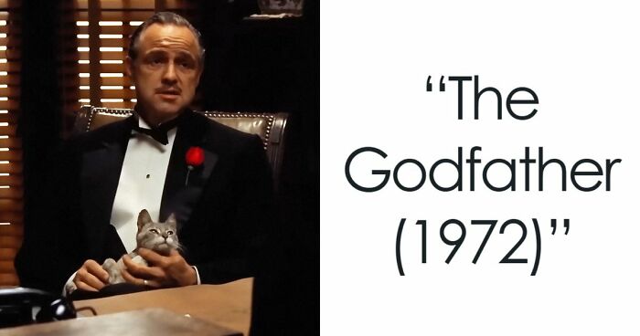 This X Page Tracks Every Cat In Cinema, Here Are 83 You Probably Didn’t Notice