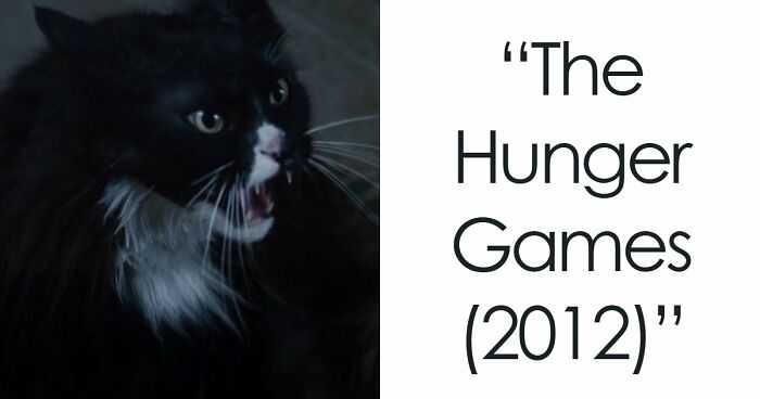 This X Page Tracks Every Cat In Cinema, Here Are 83 You Probably Didn’t Notice