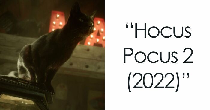 This X Page Tracks Every Cat In Cinema, Here Are 83 You Probably Didn’t Notice