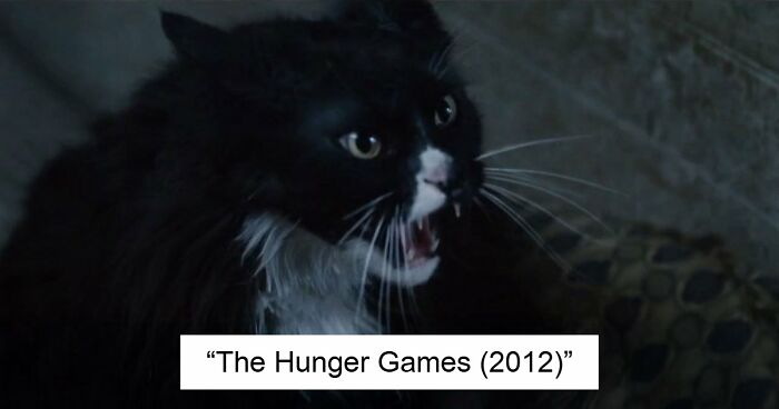 This X Page Tracks Every Cat In Cinema, Here Are 83 You Probably Didn’t Notice
