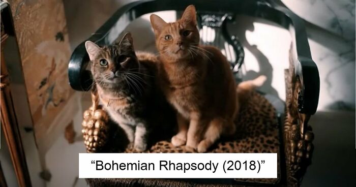 This X Page Tracks Every Cat In Cinema, Here Are 83 You Probably Didn’t Notice